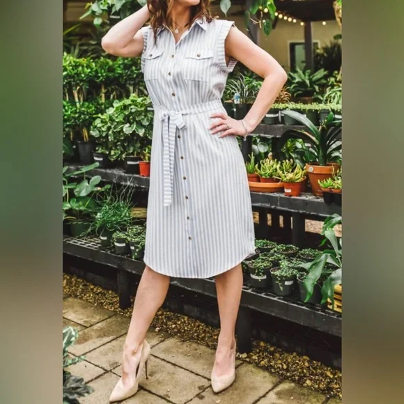 BISHOP + YOUNG striped button front dress light blue/white size medium - Picture 2 of 7